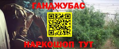 молекула духа Камышлов