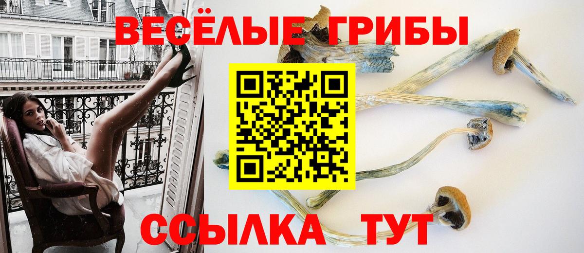 Галлюциногенные грибы Cubensis Лесозаводск