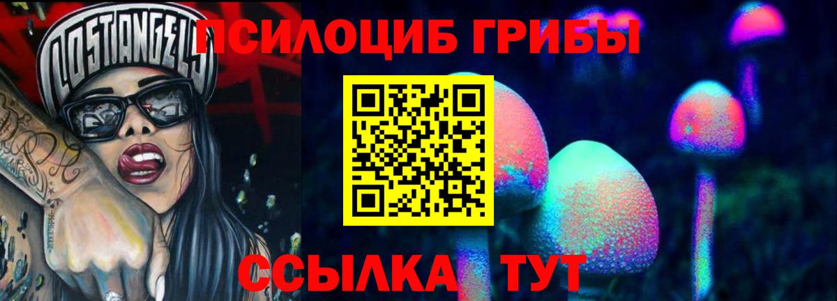 Лесозаводск  Галлюциногенные грибы Psilocybe  Вход с VPN 
